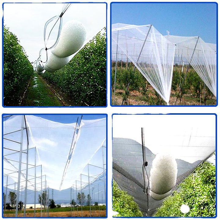 Fruit Tree Plastic Netting Hail Protection Anti-Hail Net